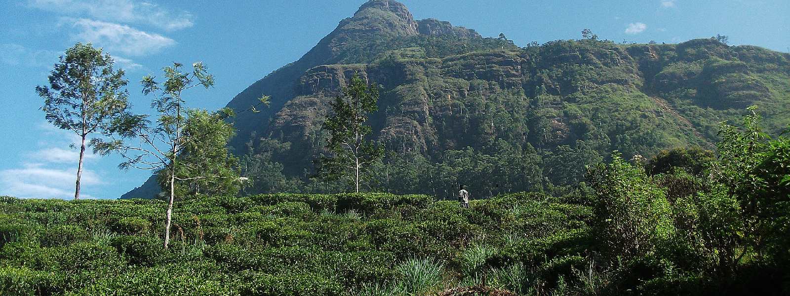 Hikers come across remains on Great Western